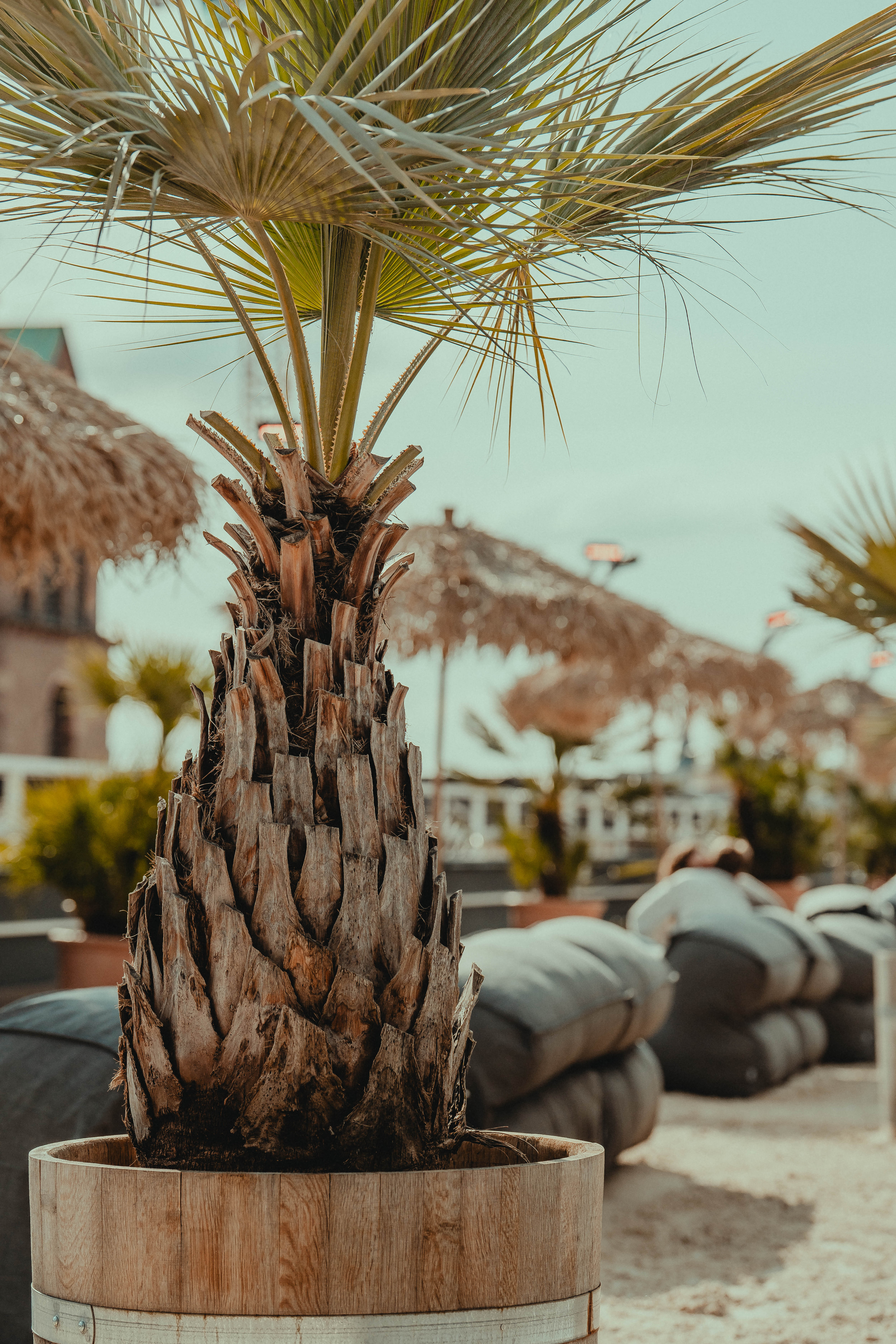 Deckzehn — Palme im Sand mit Strohschirmen und Loungekissen auf dem Rooftop in Karlsruhe