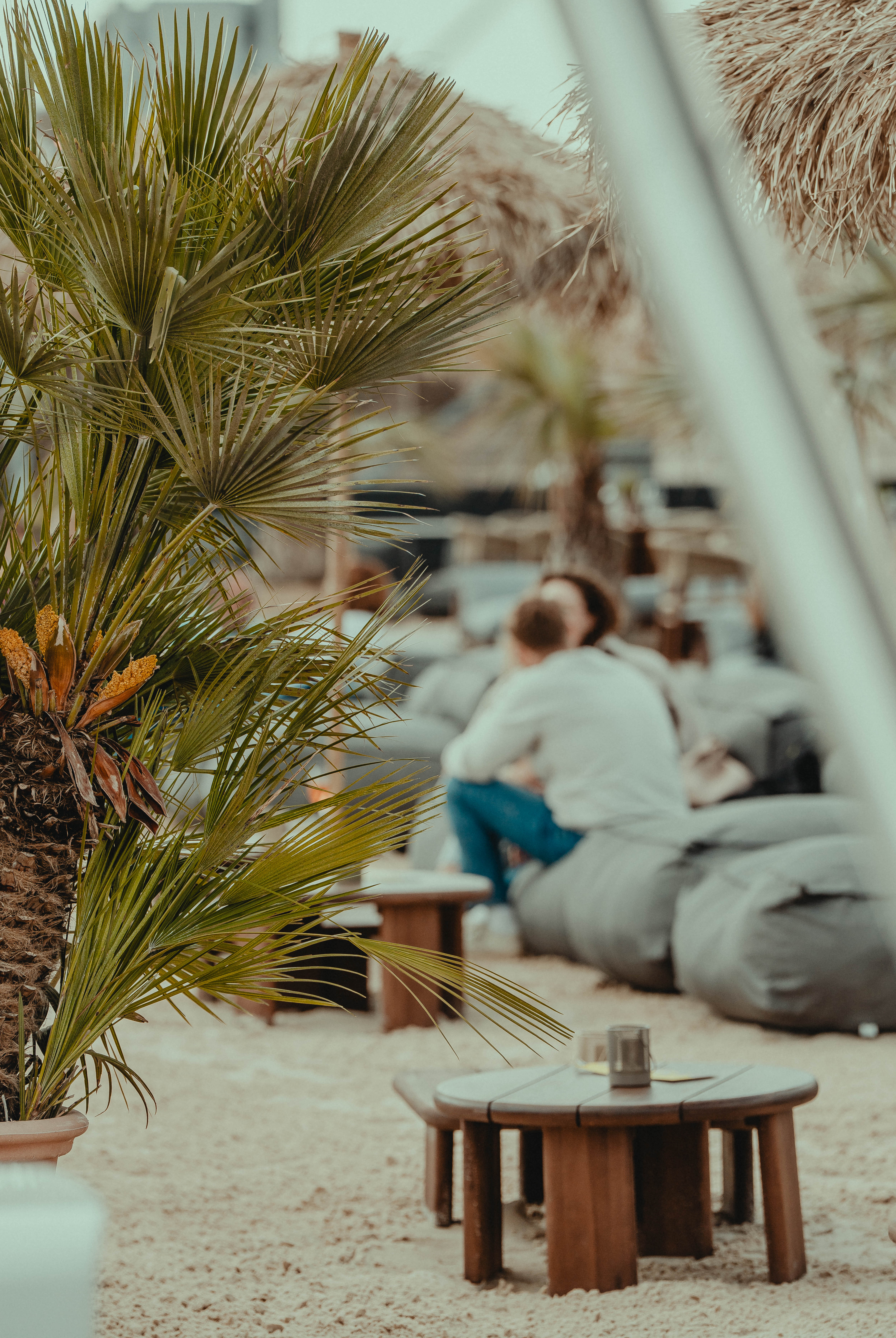 Lümmeln unter Palme im Sand — keine Eile auf dem Deckzehn
